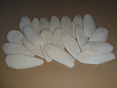20 Sepiaschalen ( 10 - 12cm / ca. 150 Gramm) - Sepia, Sepiaschale - Vögel