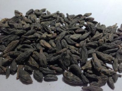HARITAKI Myrobalan black Terminalia chebula Himej kali choti harad whole Inknut*