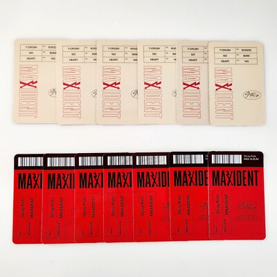 STRAY KIDS Mini Album 'MAXIDENT' Case Ver. Official Photo Cards