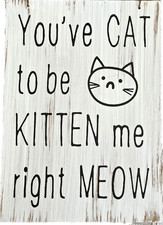 Funny Cat Sign You've Cat to be Kitten me Right Meow 9.5 x 6.75 Wooden Plaque