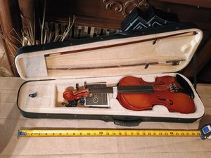 Cecilio Violin Cvn 300 | eBay