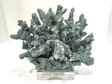 Coastal Coral Sculpture on Acrylic Base Faux Sea Coral Home D cor Accent 10"