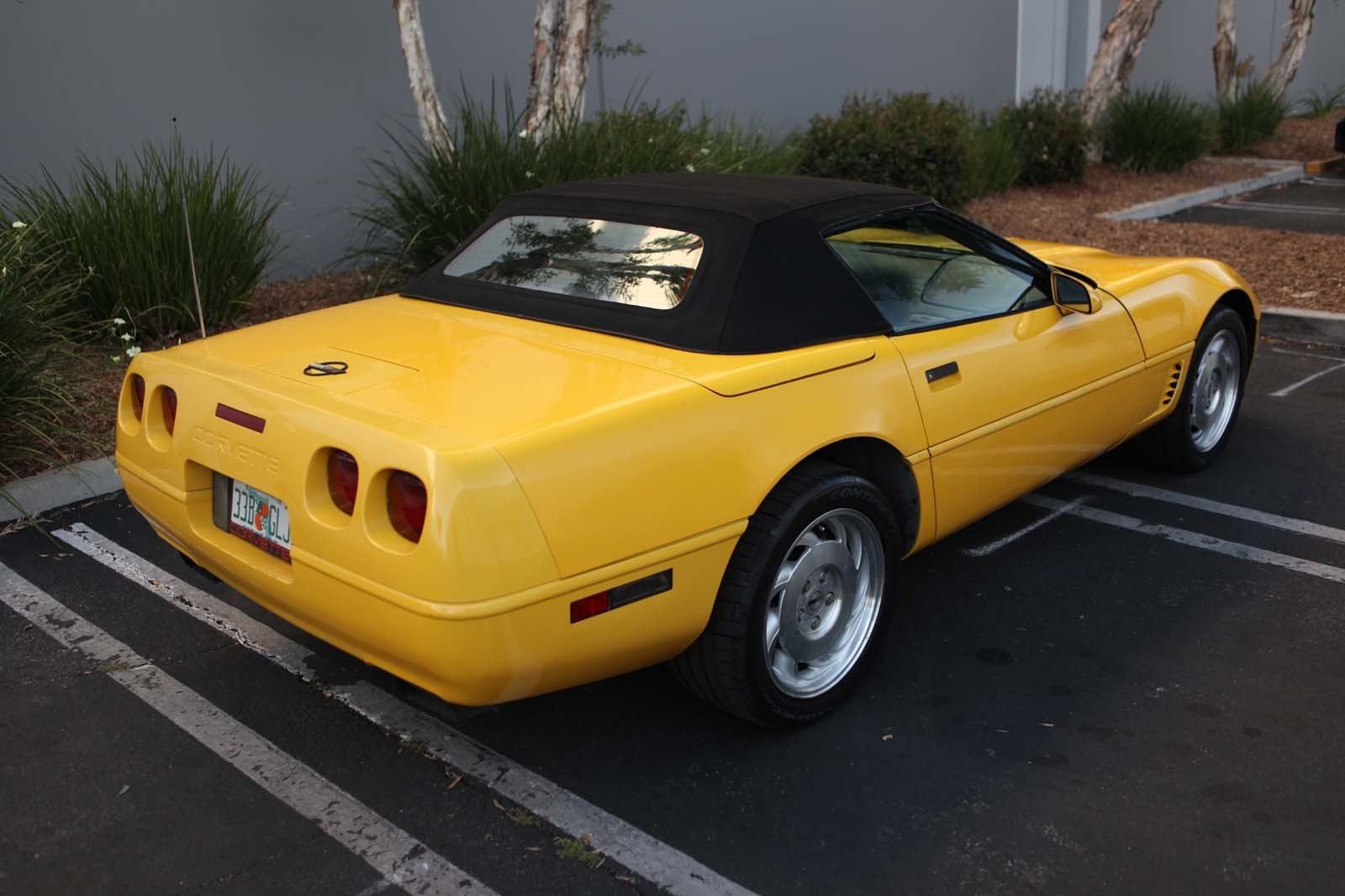 1995 Yellow Chevrolet Corvette   | C4 Corvette Photo 5