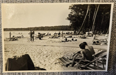 On The Beach Under Palm Trees Men And Women (9x6) Original Photo