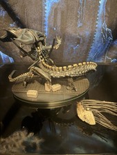 Aliens Alien Xenomorph Queen Diorama Statue W/ Base Extra Head