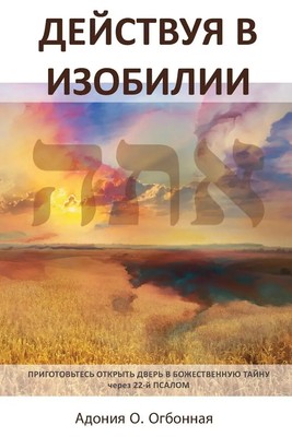 Russian Edition - Operating in Abundance Adonijah O. Ogbonnaya Taschenbuch 2024