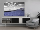 Bild 50 von 56
