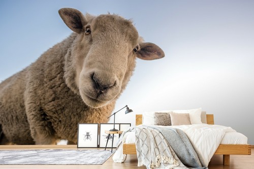 3D Cute Sheep C27 Animal Wallpaper Mural Self-adhesive Removable Zoe - Picture 2 of 12