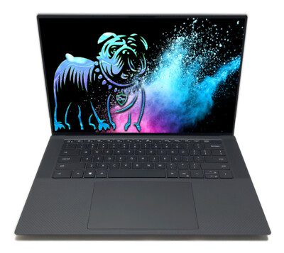 Dell Precision 5550 15,6'' Notebook WUXGA i9-10885H 24GB RAM 256GB Quadro T2000
