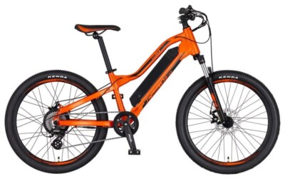 EASYBIKE  BALOO 24 Zoll Pedelec E-Mountainbike Elektrofahrrad 36V/180W