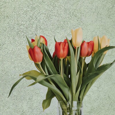 Wallpaper rolls wall coverings green plain modern textured faux plaster textures