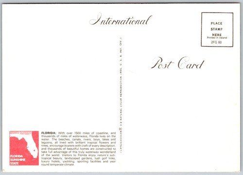 Postcard Hi from Florida Large Letter Greeting Continental - Picture 2 of 2