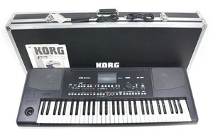 Korg Pa 300 | eBay