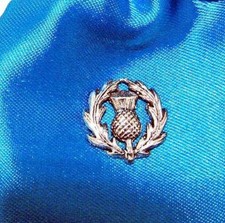 Scottish Thistle English Solid Pewter Pin Badge Brooch Free Gift Bag