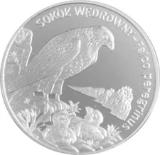 Peregrine Falcon 2008 Poland Ag