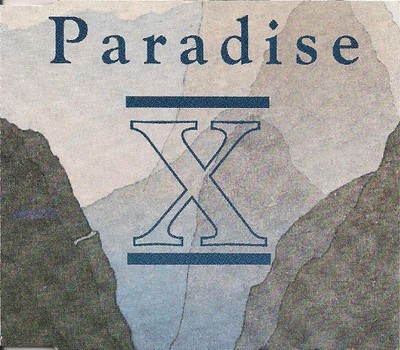 Paradise X - 2 Much Remixes - Used CD - G5z
