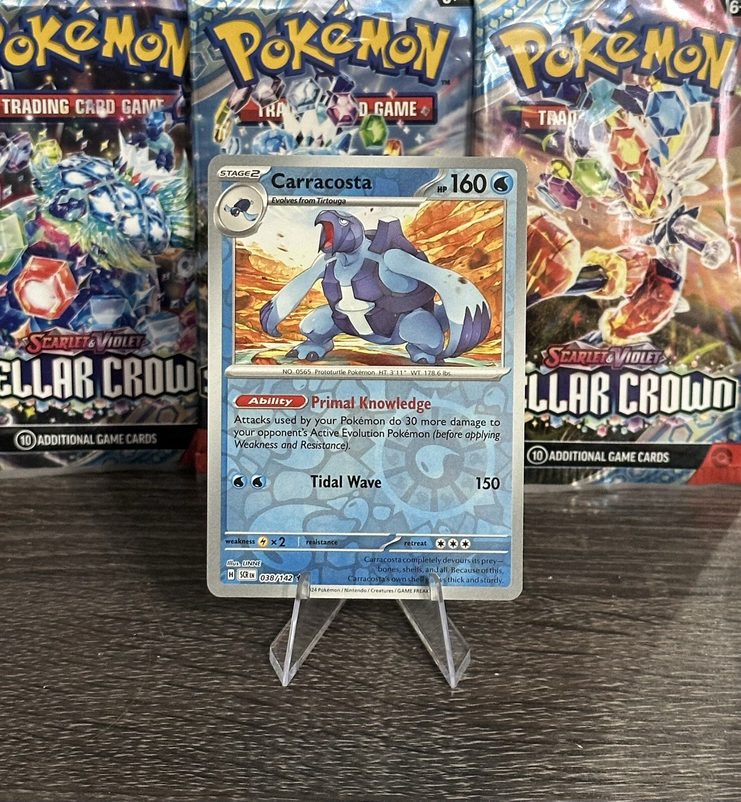 Carracosta 038/142 Sv07 Stellar Crown 2024 Reverse Holo NM