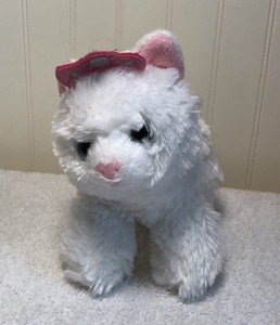 white cat stuffed animal