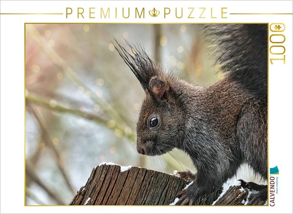 Calvendo Puzzle Brown Squirrel | 1000 Pieces, Finished Size 25.2 × 18.9 In (64 ×-image