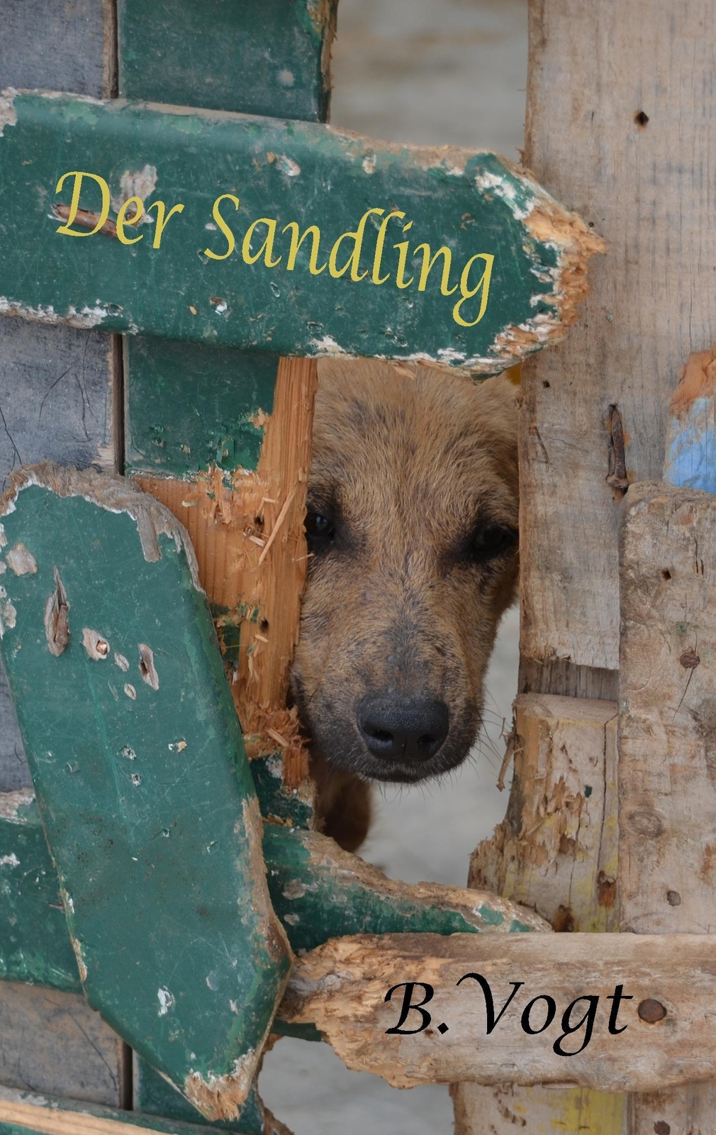 Thumbnail - Der Sandling Benjamin Vogt Taschenbuch Paperback 156 S. Deutsch 2019