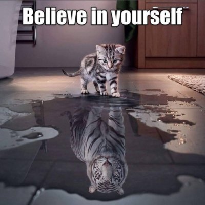 Inspirational   Cat  refrigerator magnet 3 1/2 x 3 1/2''
