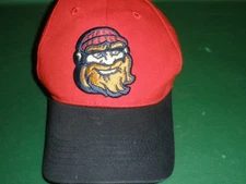 Minor Leaque Baseball Williamsport Crosscutter Cap Bimm Ridder Sportswear (Hat4)