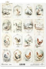 Rustic Birds & Chicks | A4 Rice Paper | Paper for Decoupage | ITD Collection