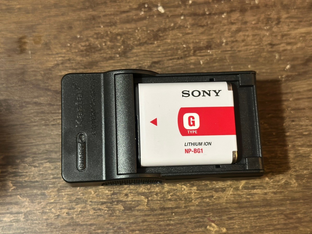 Sony Cyber-Shot DSC N1 8.1MP Digital Camera Case Battery Charger