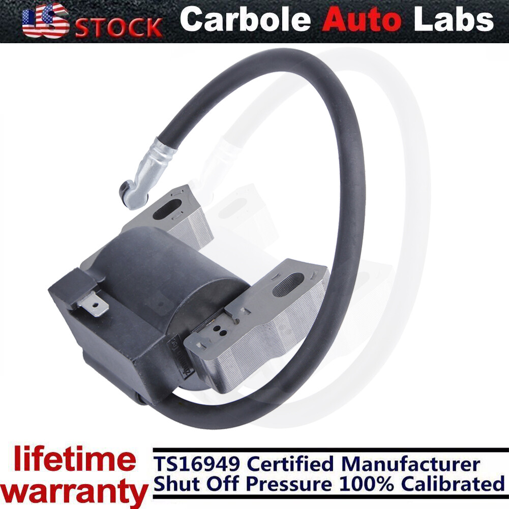 Armature Ignition Coil Magneto for Briggs/Stratton 590454 802574 5-6 ...