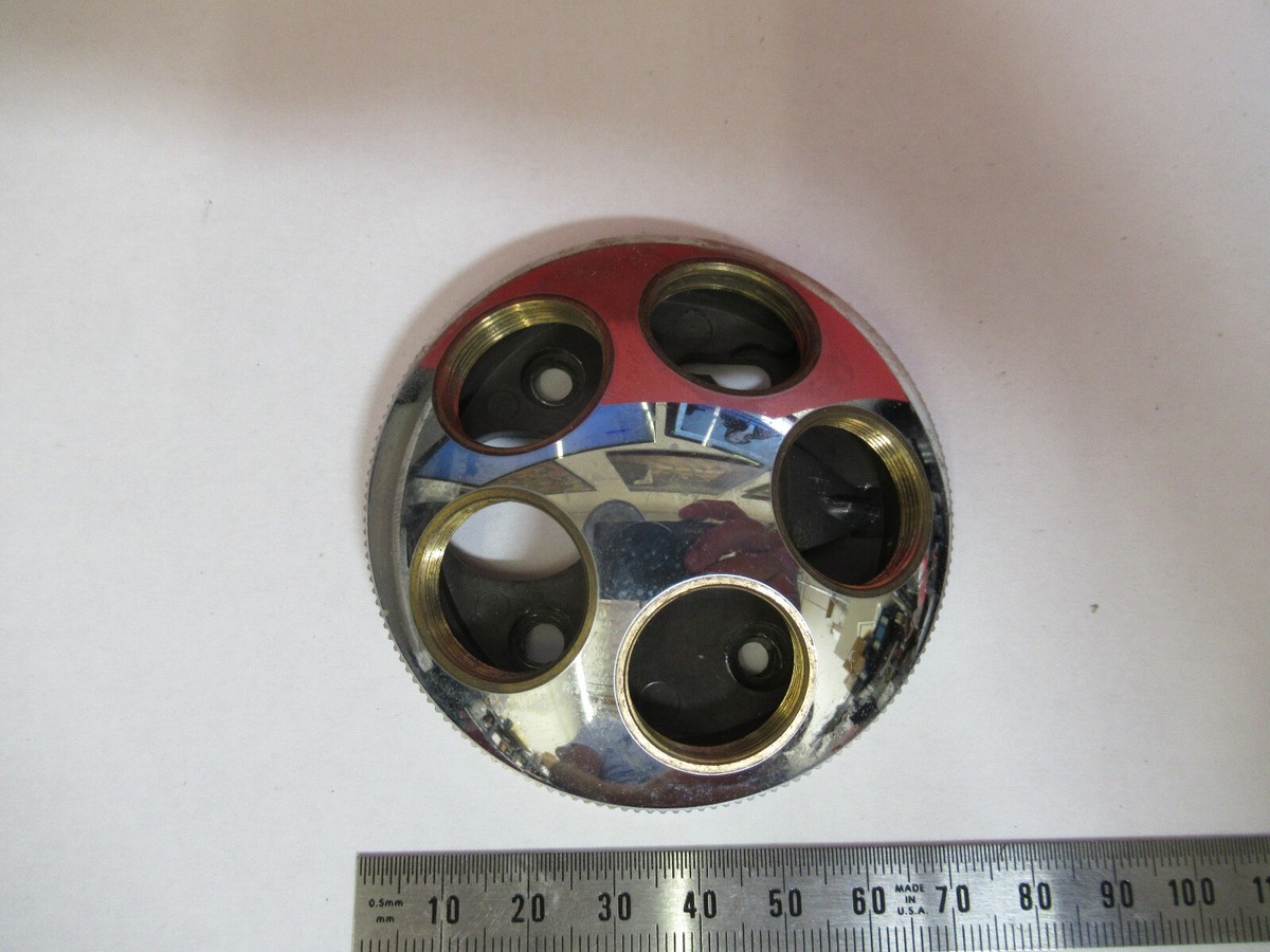 標本 Germany Dyisus margimalis 31mm Tim_Holtz_Sizzix_3D_Large_A5_E