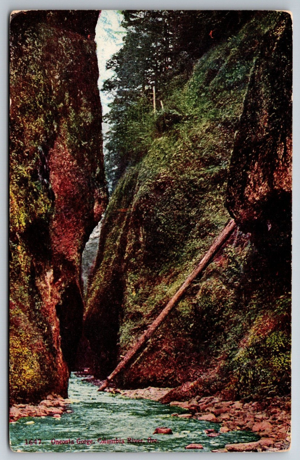 Oneonta Gorge Columbia River Oregon Columbia Scenic Highway Unused Postcard