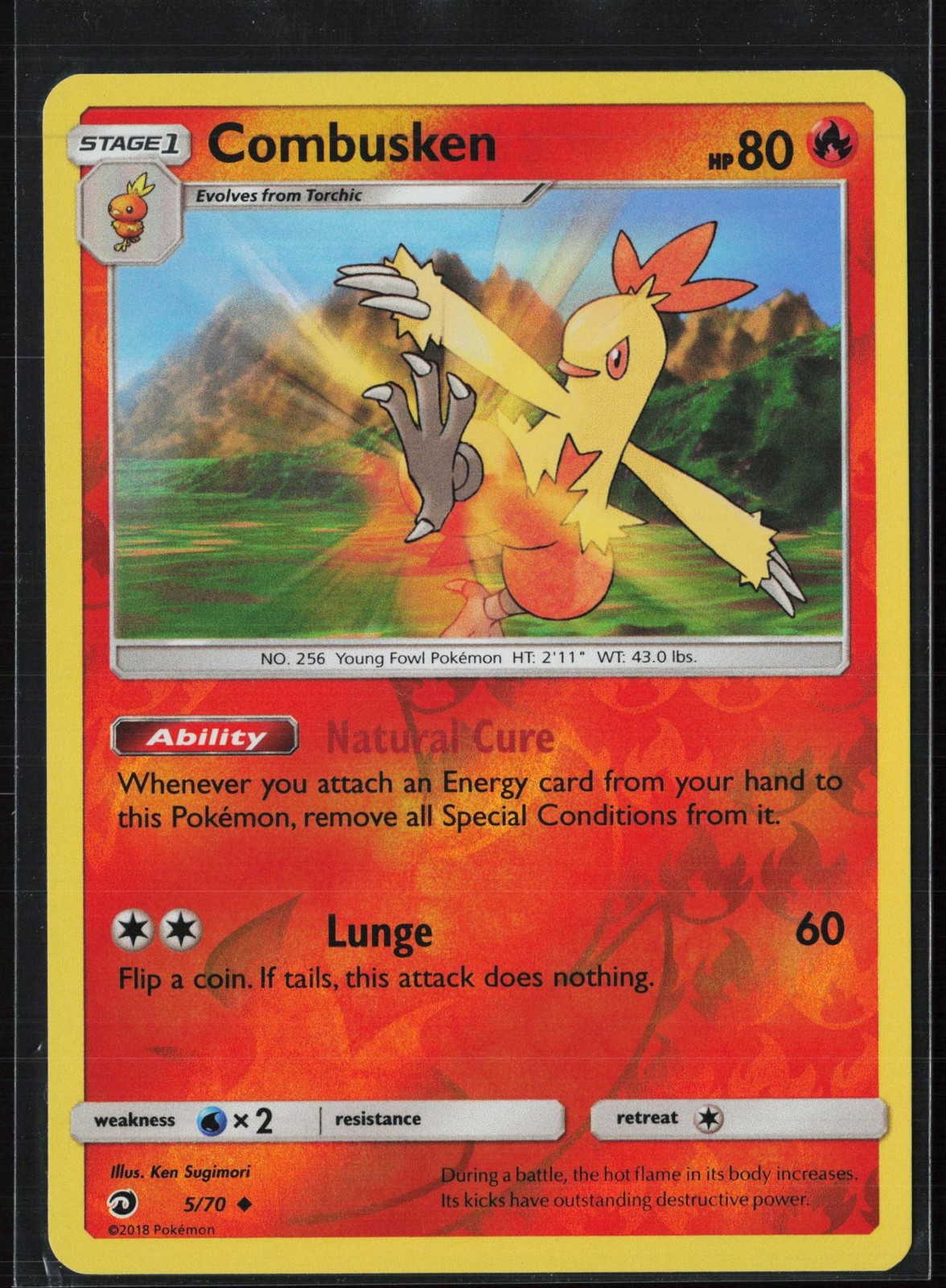 Combusken 5/70 Uncommon Dragon Majesty Pokemon Near Mint