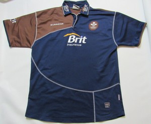surrey cricket jersey