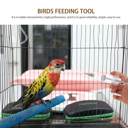 Mangeoire Perroquet achats Bird Feeding Set Parrot De Bébé