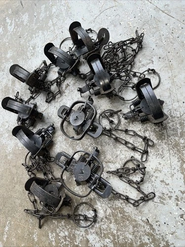 10 Used Victor Coil Spring No. 1 Traps 