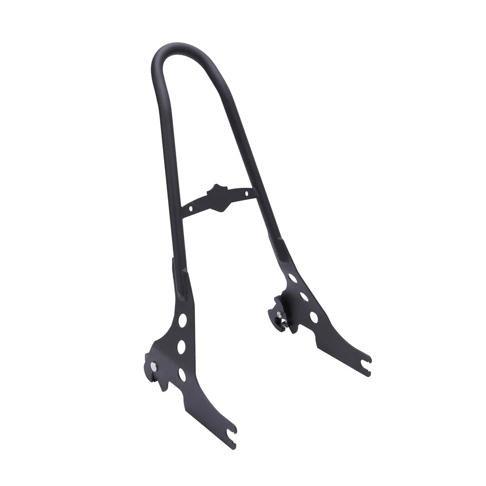 Almohadilla de barra Sissy para pasajero trasero para Harley Sportster XL883 1200 hierro 48 72 personalizada Foto 4 de 4