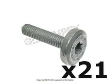 BMW (2006+) Transmission Pan Bolt for AutoTrans (6 X 28.5 mm Torx Head) ZF OEM