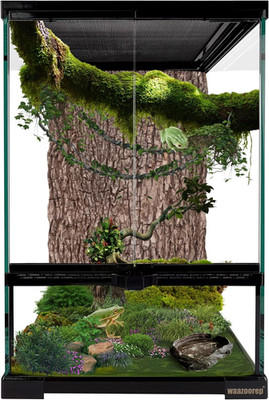 11 Gallon Reptile Glass Tank Vertical Terrarium 12''X12''X18'' Habitat Enclosure wi