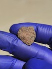 NWA 2907 Ungrouped Achondrite Meteorite 1.544g Part Slice Rare COA — photo 8