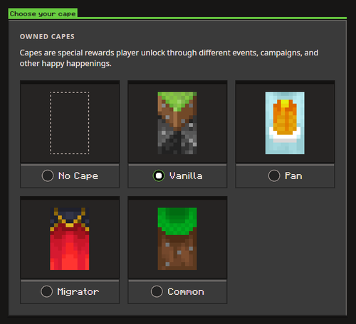 Minecraft Vanilla Cape - Java and Bedrock Edition 🟢 | eBay