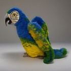 Picture 2 of 7