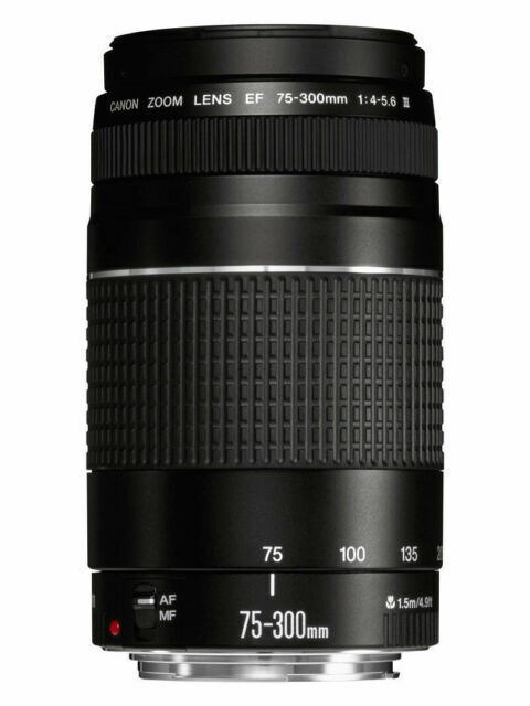 Canon Ef 75 300mm F 4 5 6 Iii Telephoto Zoom Lens For Sale Online Ebay