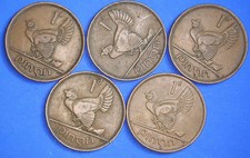 5 Ireland EIRE Irish Pennies 1d coins, Hen & Chicks, various dates [29899]