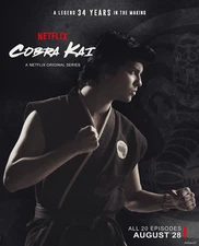 Cobra Kai set 4 Movie poster Unique Design Retro Art Wall Decoration