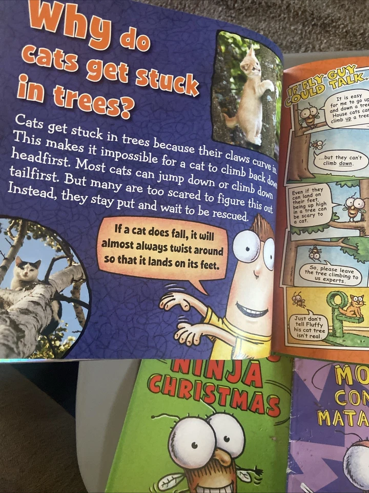 FLY GUY ~ Lot of 5 books by Tedd Arnold Children Kids ~ VERY GOOD Spanish - Image 3 of 4