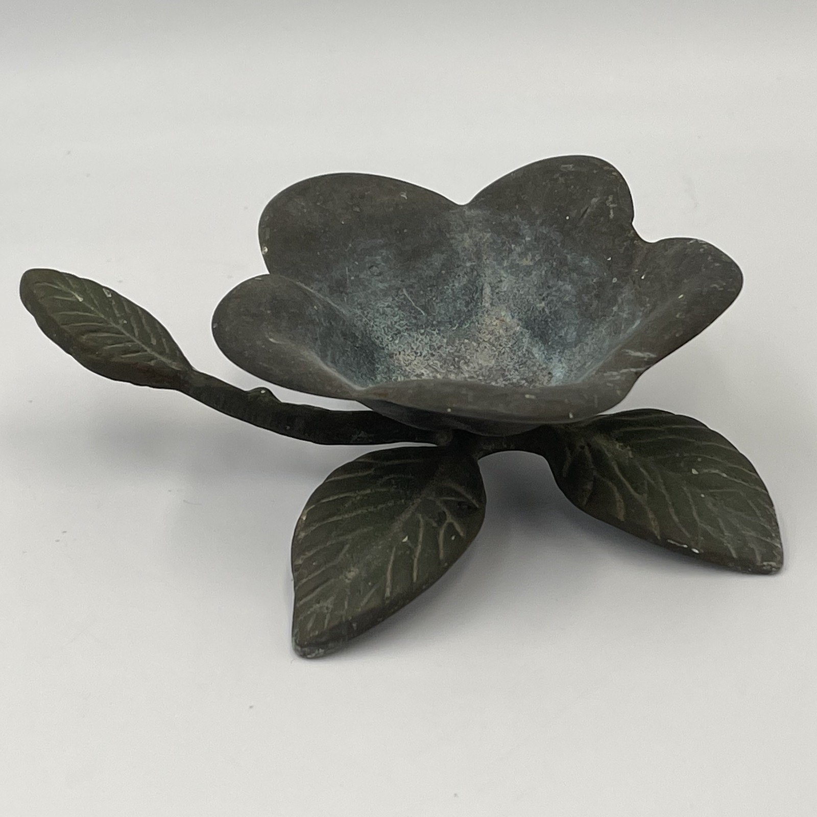 Dish