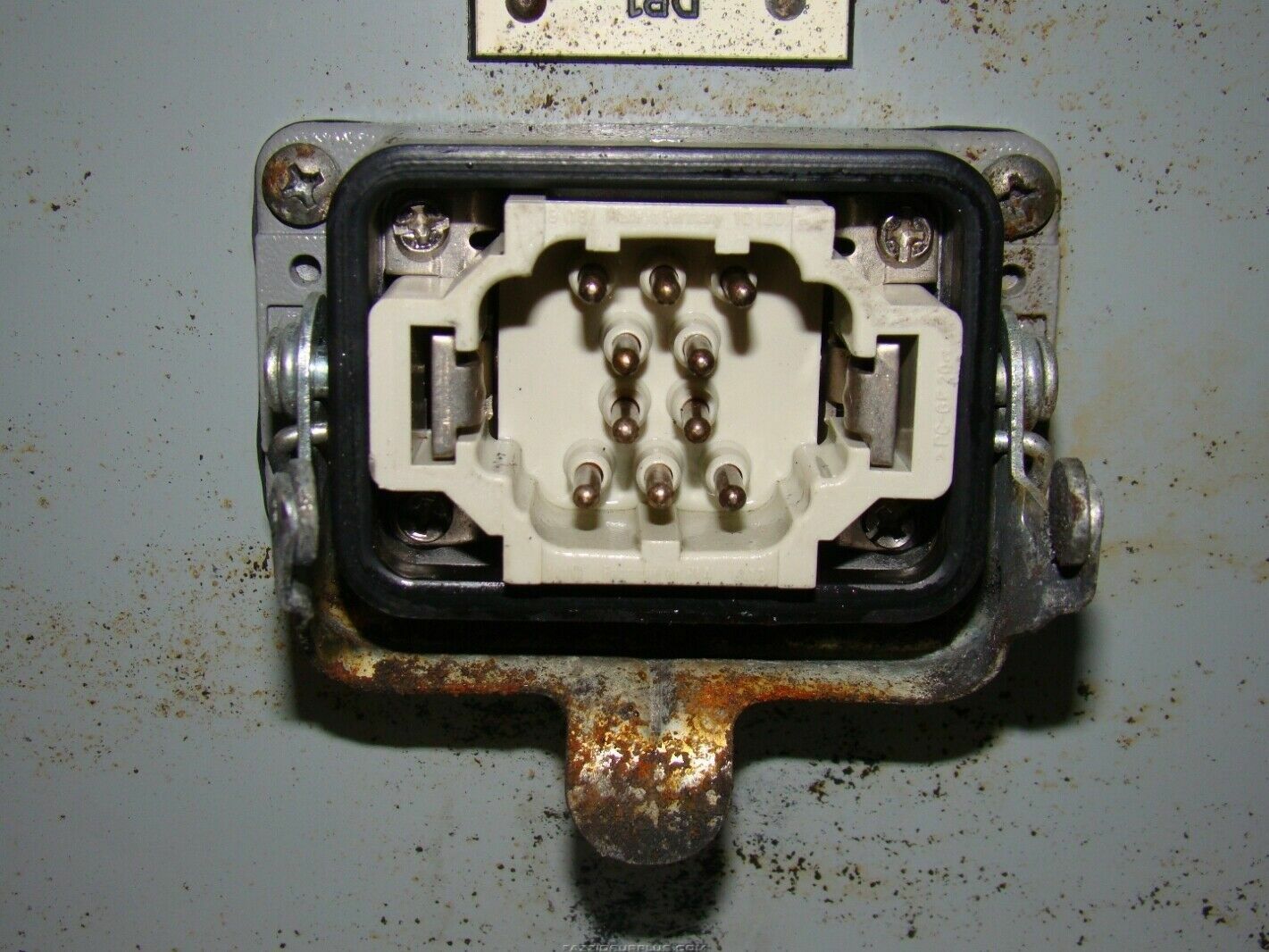 Picture 8 of 12