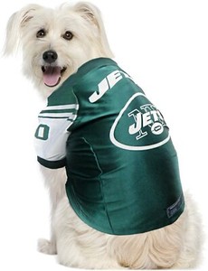 jets dog jersey