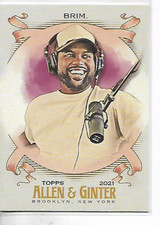 2021 Topps Allen & Ginter Steelo Brim Card