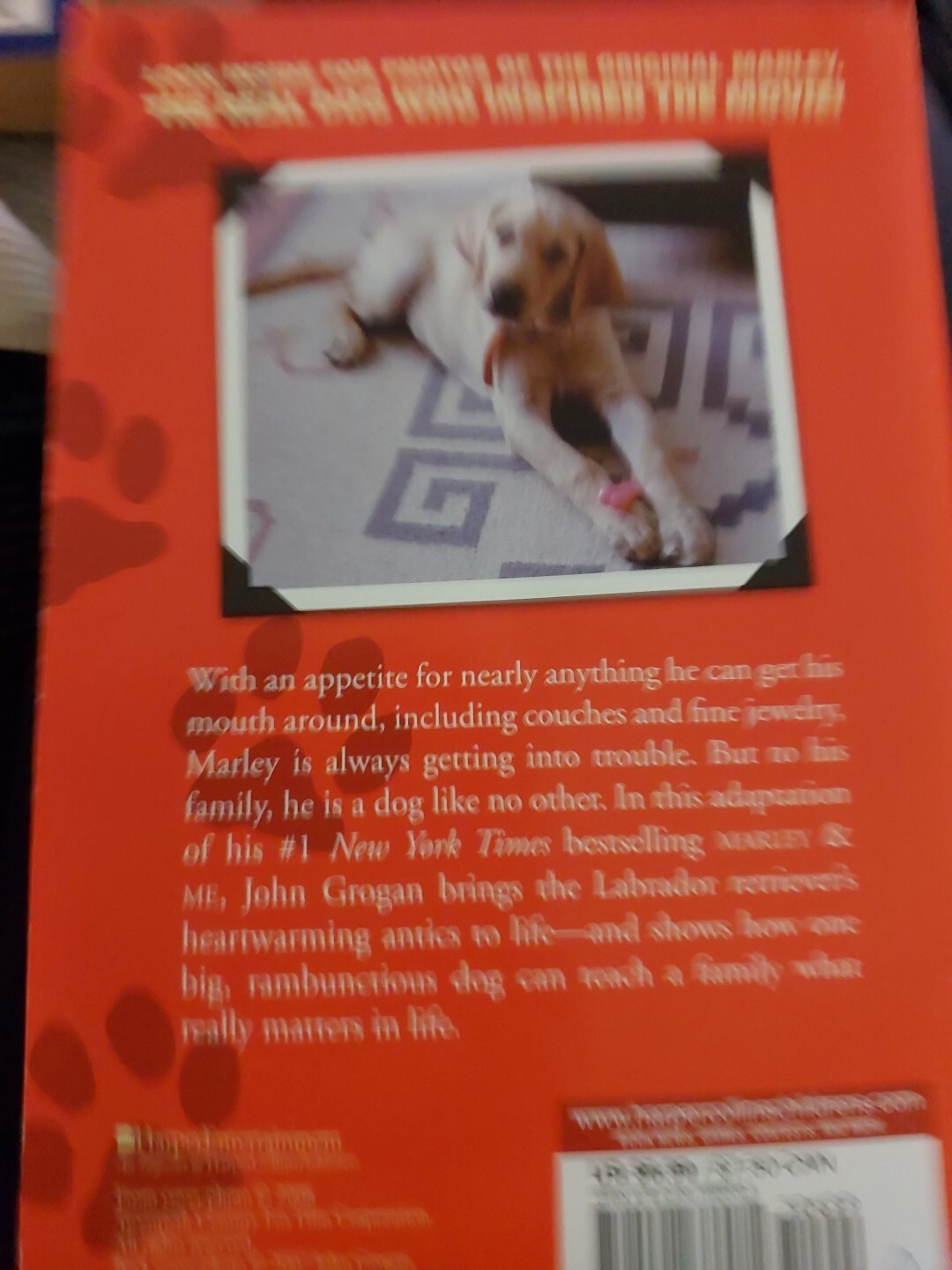 Picture 4 of 6